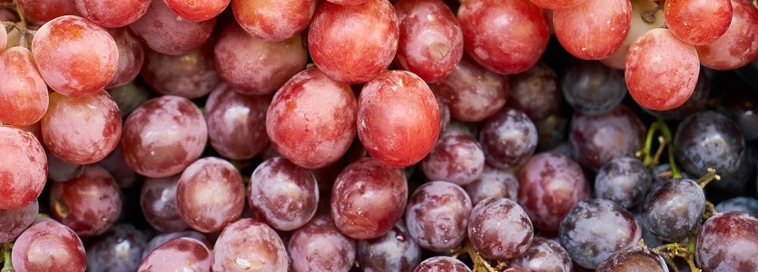 Dieta con vino e frutta rossa e viola può ridurre le probabilità di avere il diabete di tipo2, la ricerca mostra